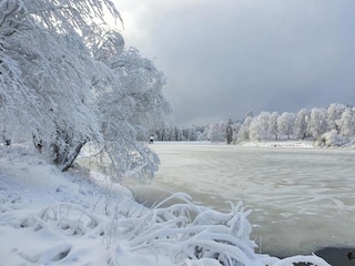 Bungalow Darlingerode Ambiente 31