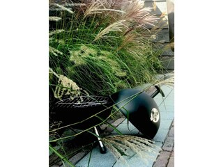 Casa per le vacanze Schoorl Registrazione all'aperto 4