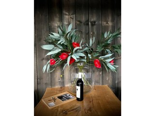 Casa per le vacanze Schoorl Caratteristiche 9