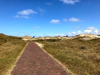 Vakantieappartement Bergen aan Zee Omgeving 17