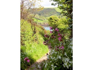 Cliff path Talland Bay to Polperro