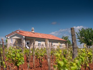 Casa per le vacanze Barban Registrazione all'aperto 4