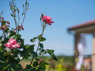 Casa per le vacanze Barban Registrazione all'aperto 5