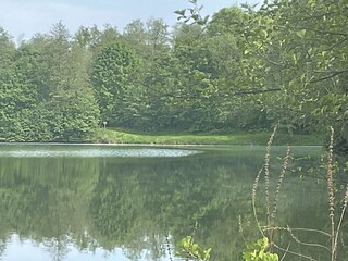 Liegewiese am Badesee