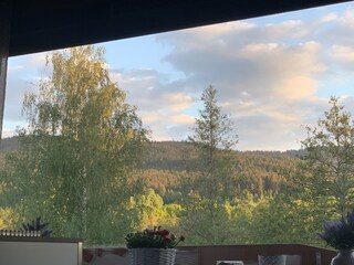 Blick von der Couch EG