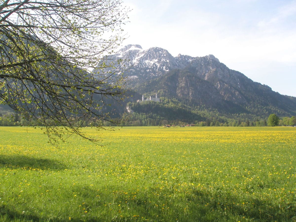 Ferienwohnung Walz, Schwangau, Frau Helene Walz