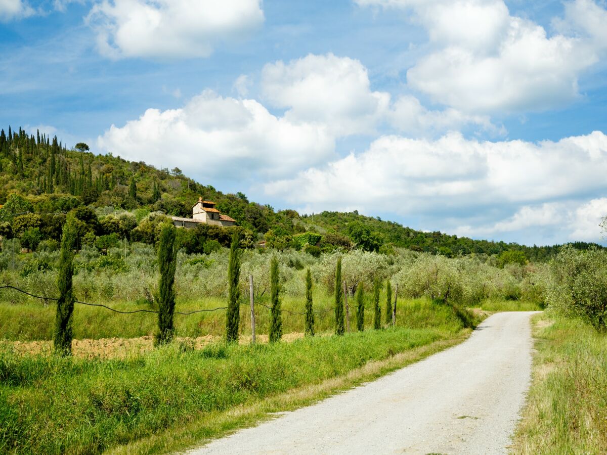 Ferienhaus Tuoro sul Trasimeno Umgebung 34