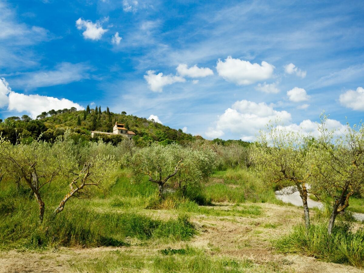 Ferienhaus Tuoro sul Trasimeno Umgebung 33