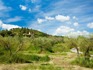 Ferienhaus Tuoro sul Trasimeno Umgebung 37