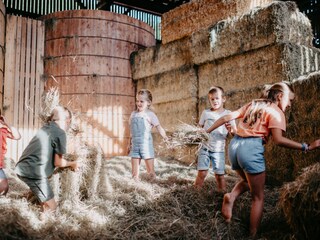 Boerderij Altenmarkt Buitenaudio-opname 4