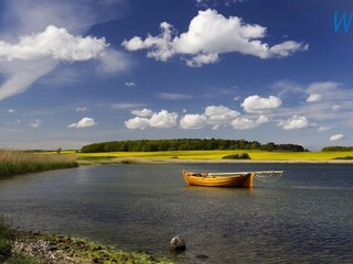 Appartamento per vacanze Lancken-Granitz Registrazione all'aperto 8