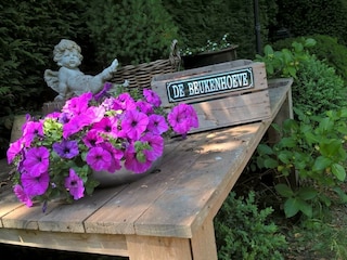 Vakantiehuis Bergen (Holland) Omgeving 17