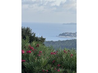 Villa La Croix-Valmer Registrazione all'aperto 12