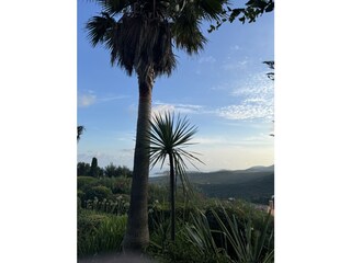 Villa La Croix-Valmer Registrazione all'aperto 14