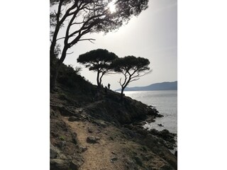 Villa La Croix-Valmer Ambiente 36