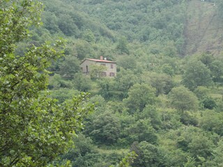 Blick vom Dorf