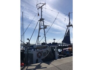 Die Godewind