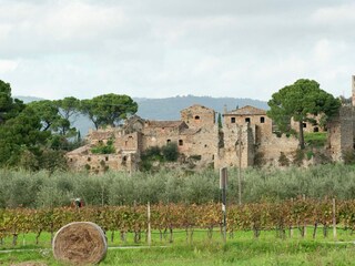 Holiday cottage Corciano Environment 37