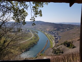 The Mosel river