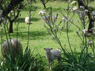 Appartamento per vacanze Urtaca Documento 25