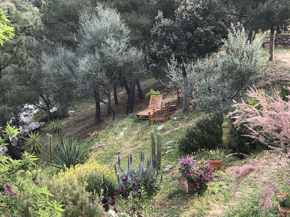 Garten von der Dachterrasse aus