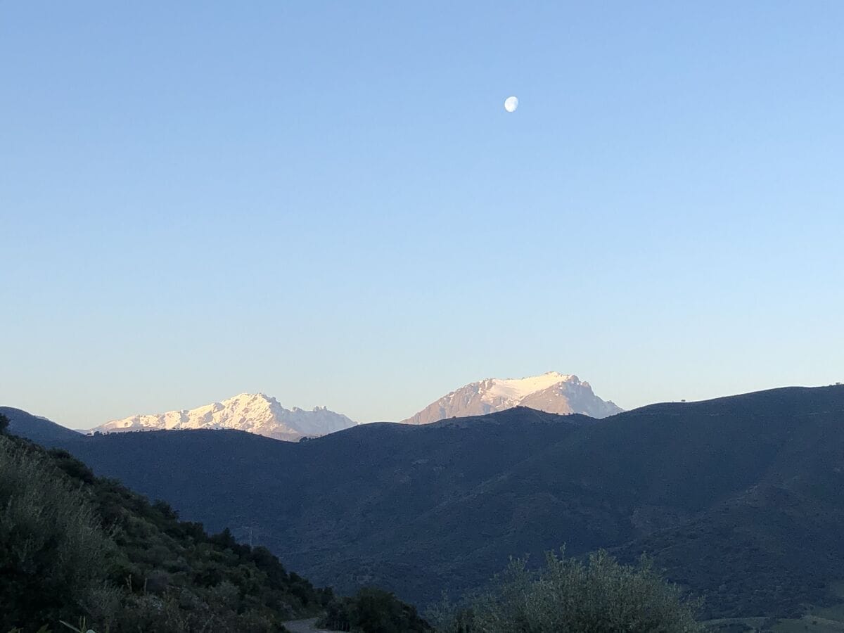 Blick auf Dachterrasse Richtung Süden