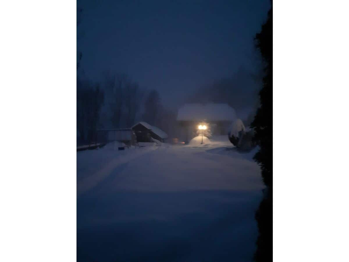 Winternacht im Garten