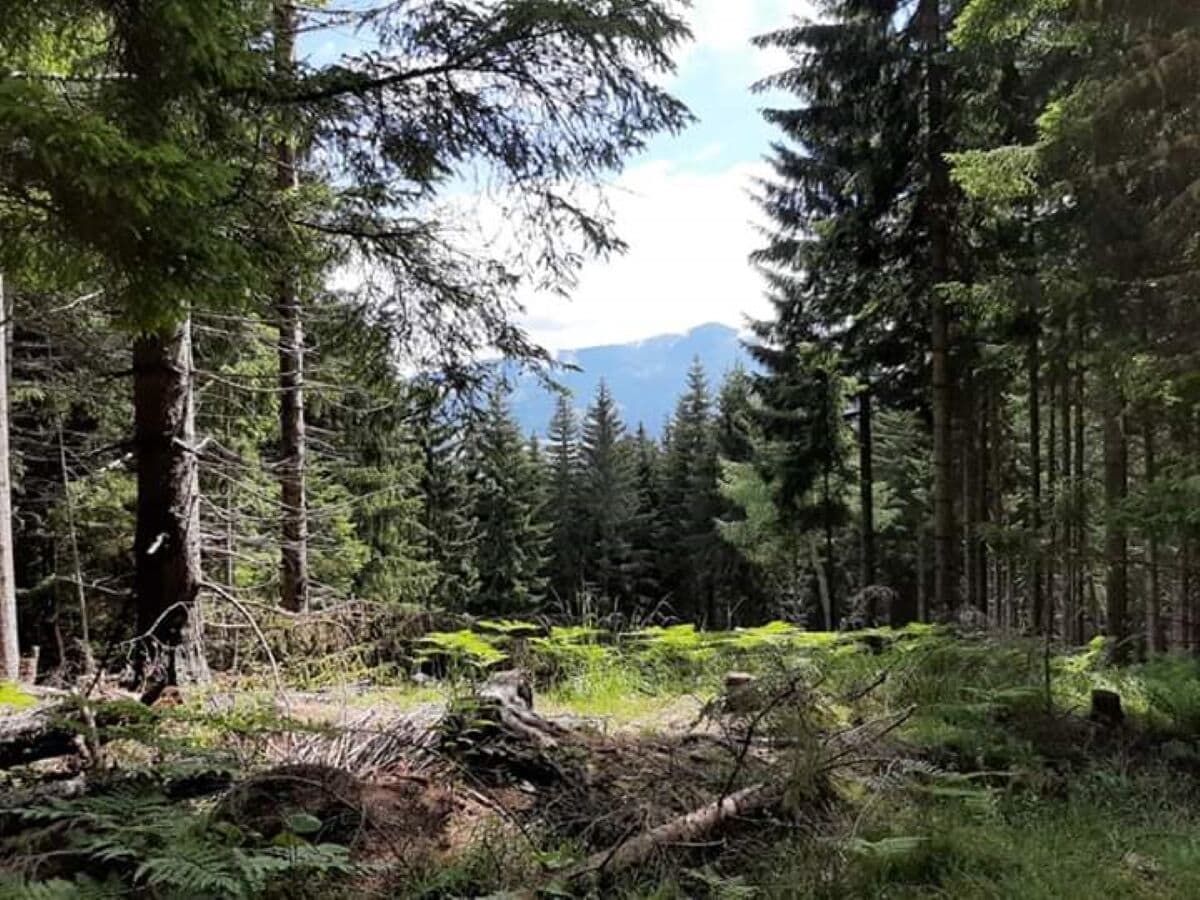 Wandern zum Bergfriedhuette direkt vom Haus aus