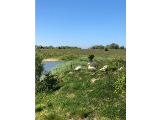 Casa per le vacanze Kamperland Ambiente 22