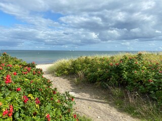 Herbst am Strand in Schönhagen