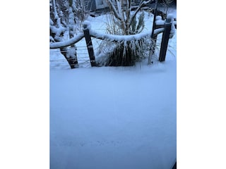 Blick auf die Terrasse