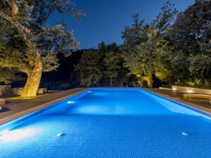 Moderne Villa VENTURA met een privé verwarmd zwembad van 45 m², fitnessruimte, speelkamer - Srinjine - image1