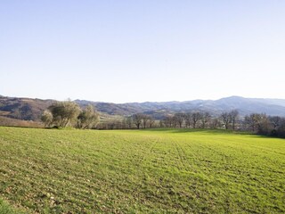 Cottage Monterchi Environment 37