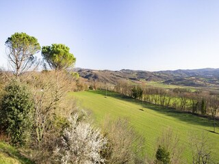 Casa de campo Monterchi Entorno 28