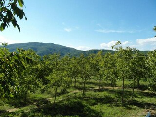 Vakantiehuisje Monterchi Omgeving 40
