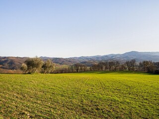 Cottage Monterchi Environment 38
