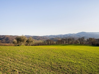 Vakantiehuisje Monterchi Omgeving 40