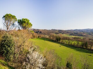Cottage Monterchi Environment 38