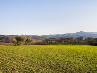 Cottage Monterchi Environment 40