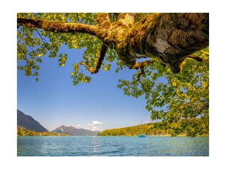 Walchensee