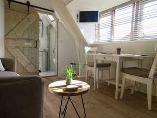 Appartamento Zandvoort Caratteristiche 8