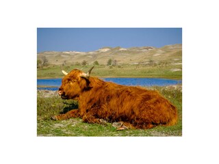 Appartamento Egmond aan Zee Ambiente 18