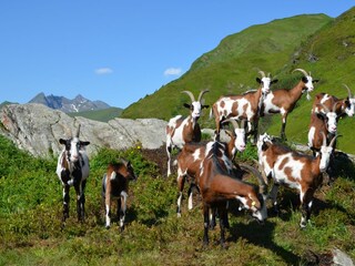 Casa per le vacanze Rauris Ambiente 32