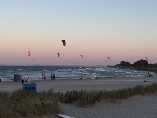 Strand in Damp
