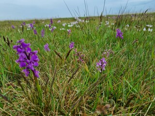 Bungalow De Koog Ambiente 24
