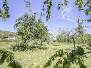 Fattoria Sauvigny Ambiente 35