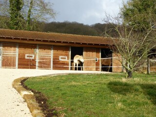 Fattoria Sauvigny Ambiente 35