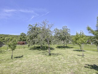 Farmhouse Sauvigny Environment 29