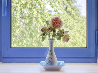 Type de propriété : Ferme Sauvigny  40