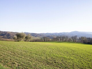 Casa de campo Monterchi Entorno 36